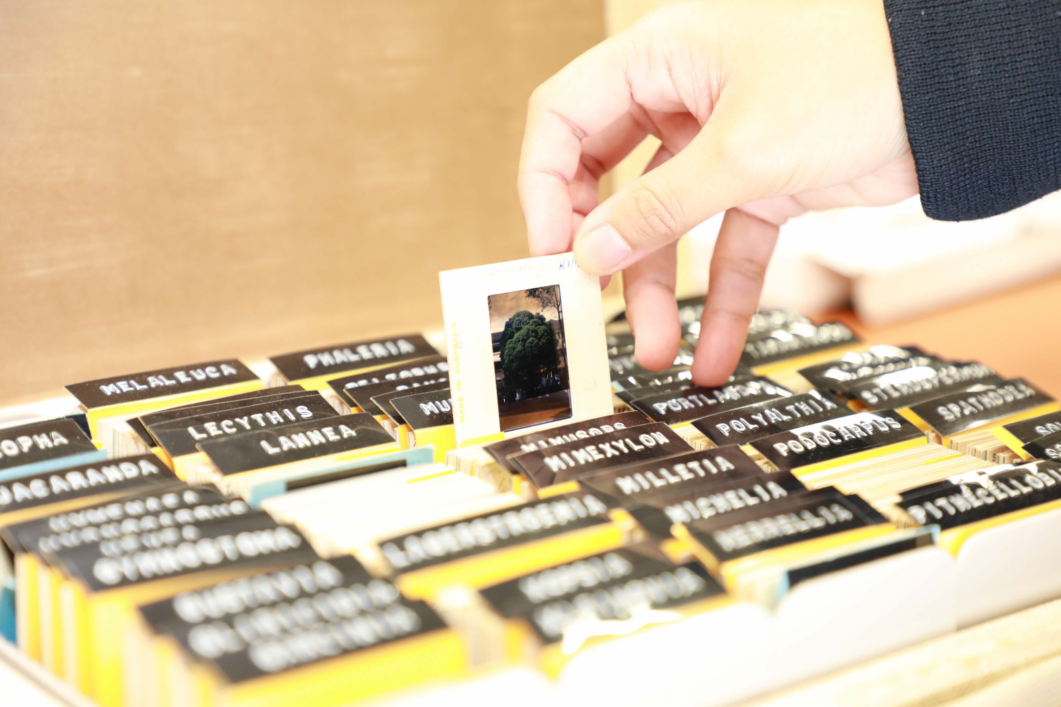 35mm photographic slides